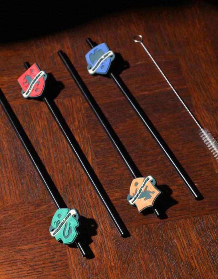 Harry Potter Steel Straws