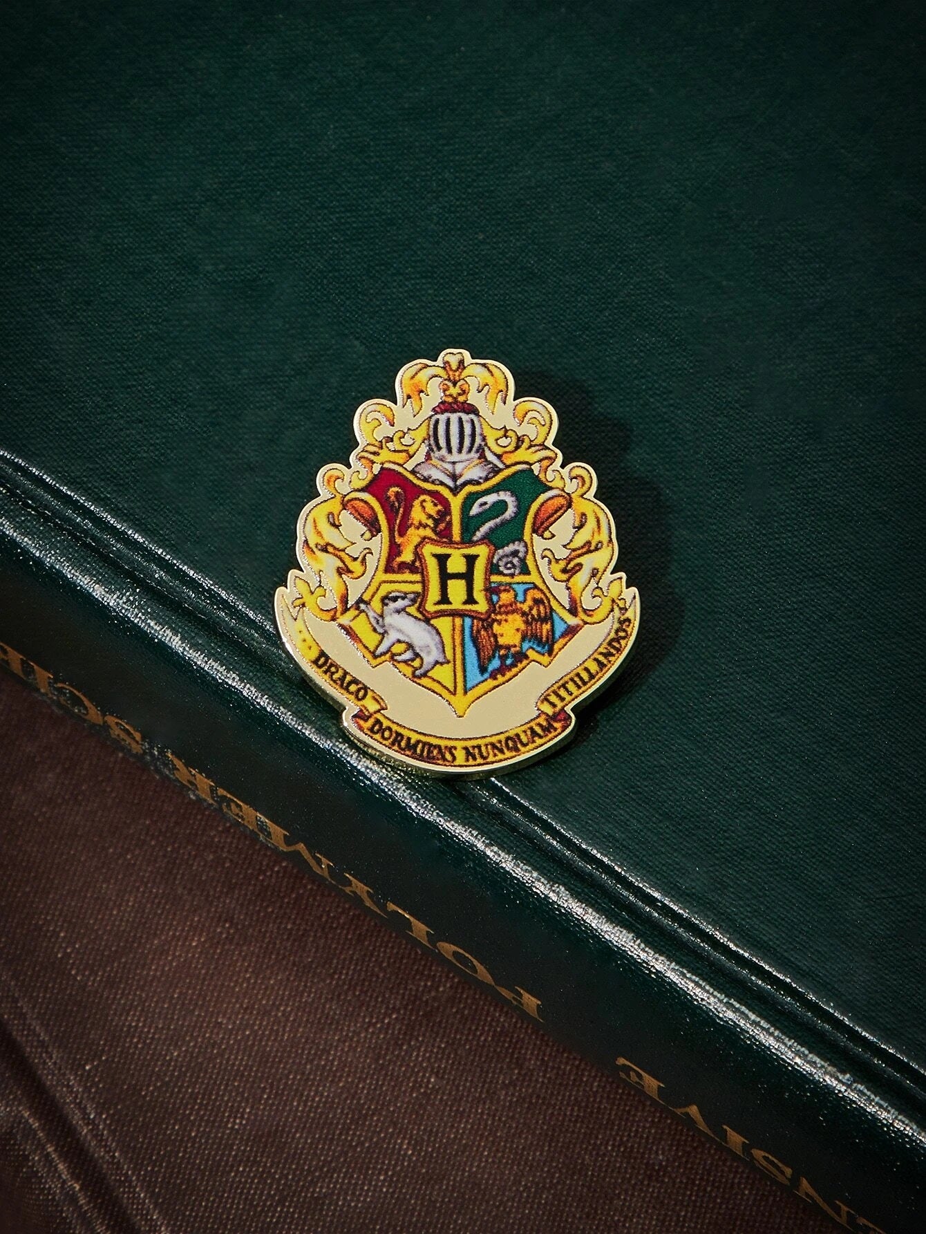 Harry Potter Pin