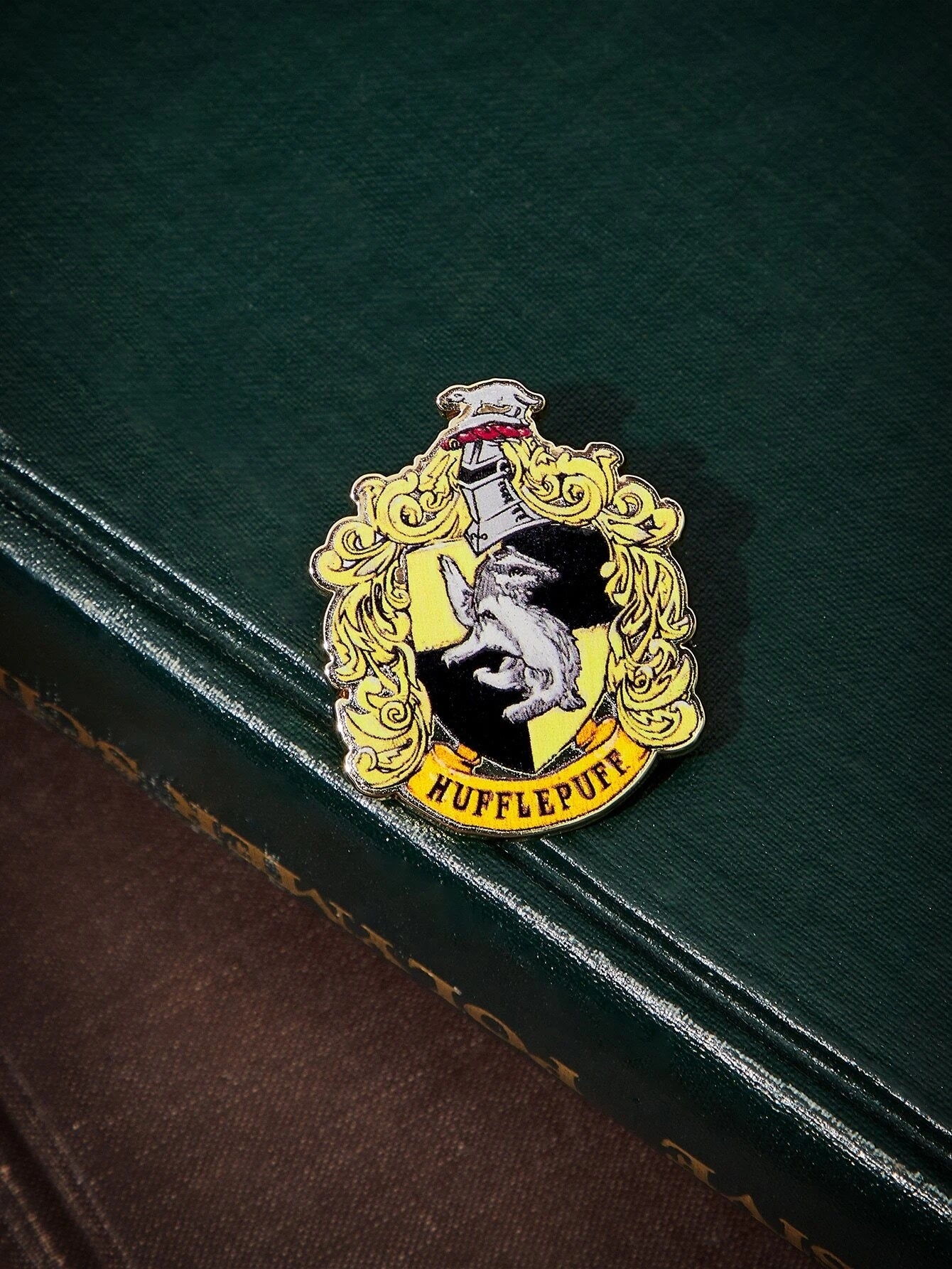 Harry Potter Pin