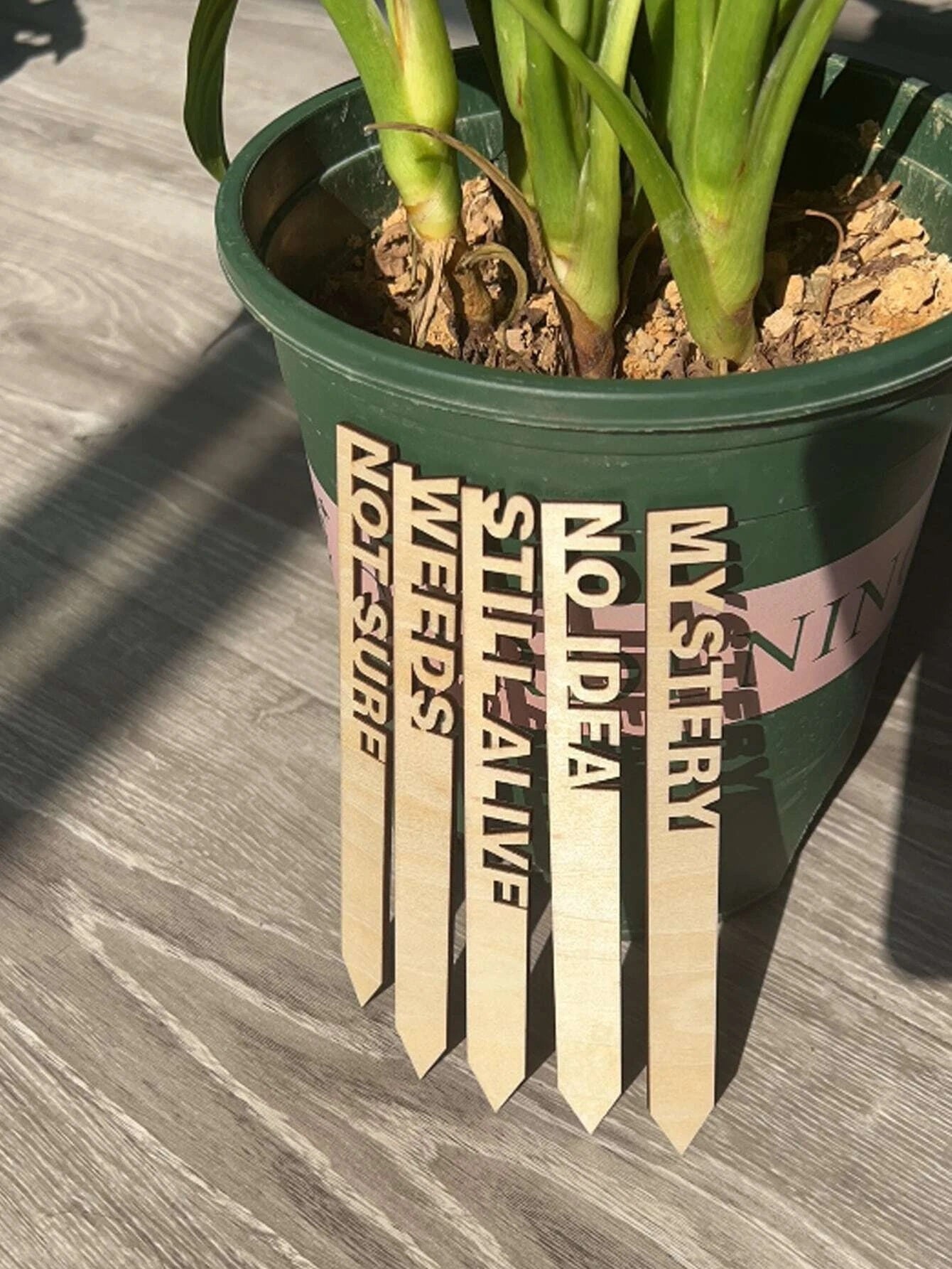 Humour Garden Stakes