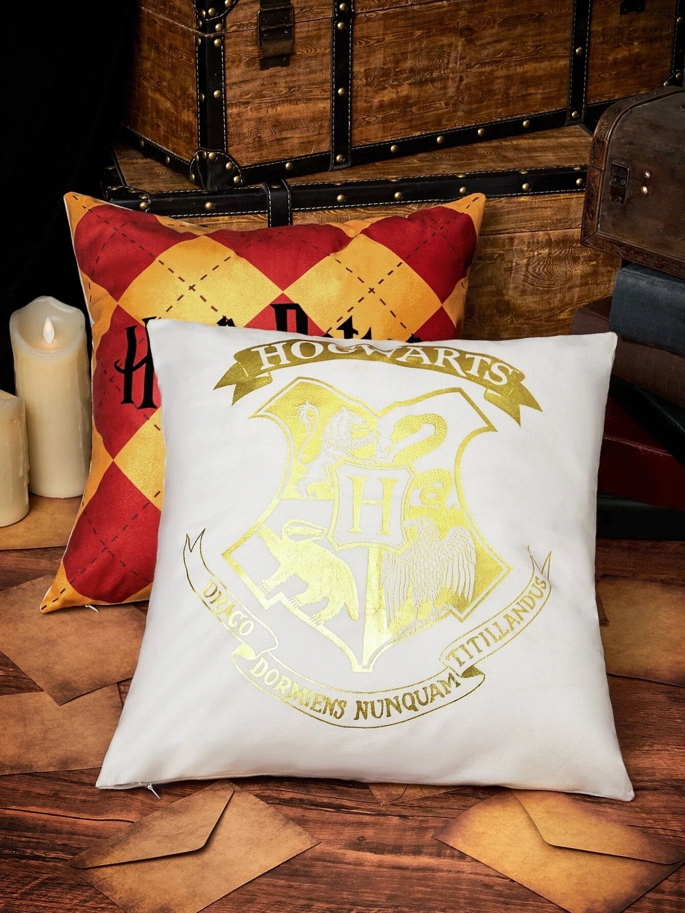 Harry Potter Scatter Cushion