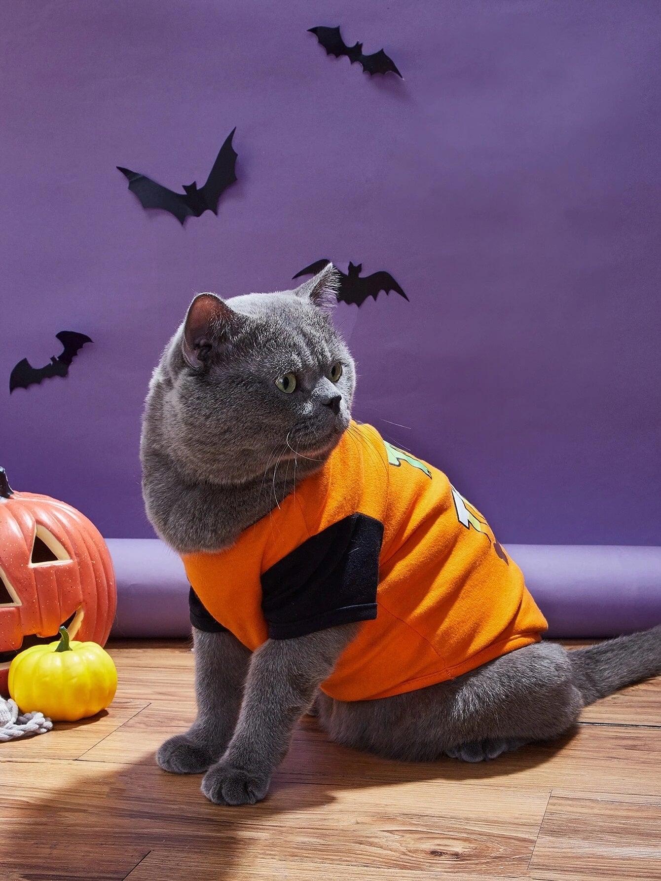 Halloween Trick for Treats Pet Clothing